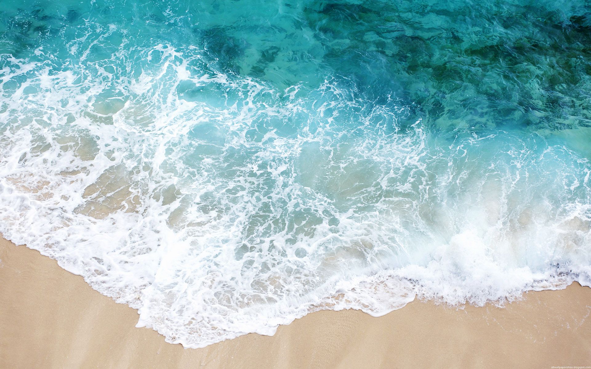 世界登山青年导师长期观察第19期数据摘要发布，世界登山大师